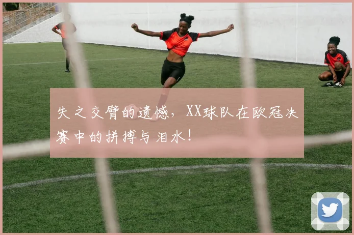 失之交臂的遗憾，XX球队在欧冠决赛中的拼搏与泪水！